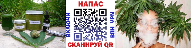 Cannafood конопля  купить  цена  Находка 