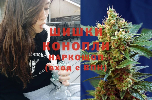 гашик Алзамай