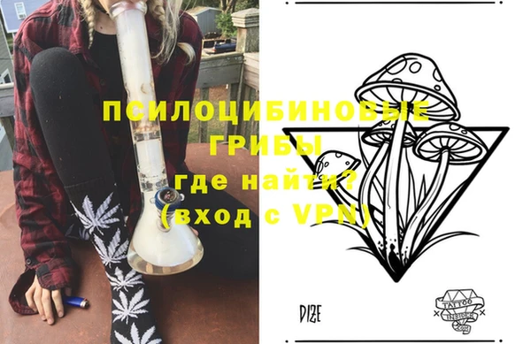 сатива Алексеевка