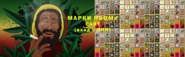 гашик Алзамай
