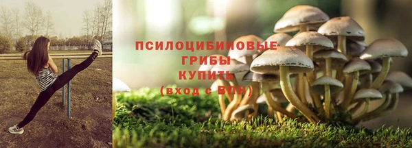 сатива Алексеевка