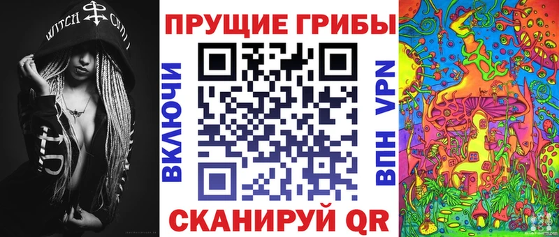 Псилоцибиновые грибы Psilocybe  Находка 