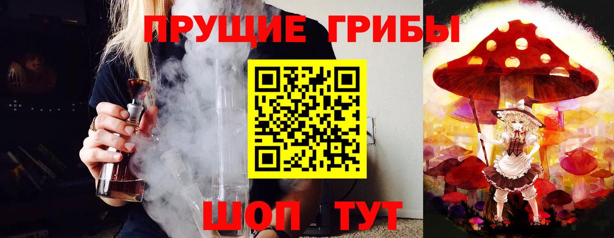Псилоцибиновые грибы Psilocybe Находка